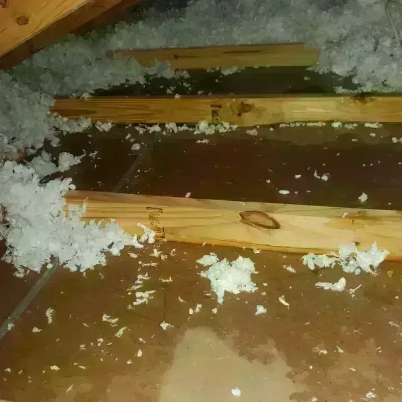 Attic Water Damage in Petersburg, IN