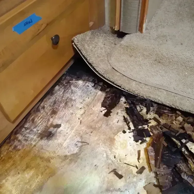 Best Wood Floor Water Damage Service in Petersburg, IN